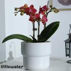 フラワーポット鉢植えセラミック排水...