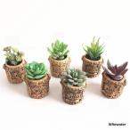 鉢植え 雑貨 インテリア 造花 室内 多肉植物 ギフト 父の日 母の日 誕生日 プレゼント 玄関 リビング 小さな鉢 かわいい
