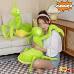 ぬいぐるみ カマキリ 節足動物 昆虫