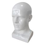  мужчина манекен head PVC дисплей подставка долговечность. есть стайлинг тренировка head игра консоль,, ювелирные изделия для высота 13.4