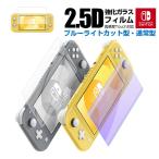 Nintendo Switch OLED フィルム Nintendo Switch Lite ガラスフィルム ブルーライトカット Nintendo Switch フィルム