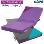  особый . шт. принадлежности матрац web Lee матрац двусторонний уретан пена body давление минут . товары для ухода накидка 