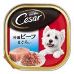 〔まとめ〕 ドッグフード ペットフード シーザー 吟選ビーフ まぐろ入り 100g 96セット ドックフード ペット用品〔代引不可〕