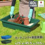 たらい 水槽 大型 プール 屋台 金魚すくい プラスチック 左官 ビオトープ 40L ブルコンテナFP-40