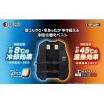 大進　冷暖切替ベスト ペルチェ　IWV-24F スターターセット（5000mAhバッテリー付属)