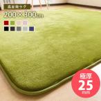 ラグマット ラグ カーペット 高反発 厚さ2cm 防ダニ 抗菌防臭 300×200cm 3畳 三畳 長方形 フランネルラグ