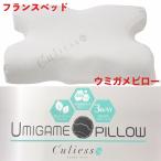 フランスベッド　ウミガメピロー　Culiess Ag キュリエス・エージー 56×41×12.5　