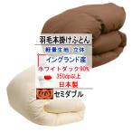 羽毛布団セミダブルエクセルゴールド...