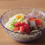 そうめん 皿 麺 皿 透明皿 HB-4285 涼蒼 そうめん鉢 (AP)