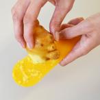 薬味おろし deLijoy 薬味すりすりベーラ しょうが にんにく ワサビ 柚子 （ おろし金 すりおろし器 すりおろし金 生姜おろし プラスチック ヘラ ）