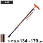 杖 伸縮 軽量 女性 男性 おしゃれ ス