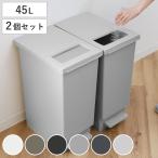 ショッピングダストボックス ゴミ箱 45L 同色2個セット ペダル ユニード プッシュ＆ペダル （ 45リットル ふた付き 分別キッチン ダストボックス スリム 分別ゴミ箱 棚下 カウンター下 ）