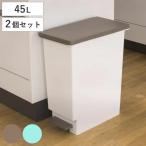 ゴミ箱 45L 同色2個セット スリムペダル ふた付き （ ごみ箱 45リットル 同色 2個 まとめ買い セット スリム ペダル キッチン 分別 ダストボックス 縦型 ）