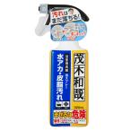 洗剤 茂木和哉 おふろのなまはげ 水アカ・皮脂汚れ用 320ml （ 水垢 掃除 洗浄 水アカ 皮脂汚れ 落とし 湯垢 湯アカ 湯あか 風呂 浴槽 鏡 バスクリーナー ）