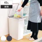 ショッピングダストbox ゴミ箱 45L 密閉プッシュペール エバン （ ごみ箱 45リットル ニオイ漏れ 防止 密閉 スリム シンプル 分別 ワンタッチ パッキン EBAN ）