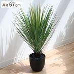 人工観葉植物 ミニパイナップル 67cm