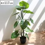 人工観葉植物 クワズイモ 117cm フェ�