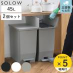 ショッピングゴミ箱 特典付き ゴミ箱 45L SOLOW 同色2個セット ペダルオープンスリム （ ごみ箱 45リットル ソロウ 同色 2個 ペダル式 ふた付き 両開き 分別 棚下 スリム ）