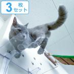 キャットステップ 3枚セット Cat Steps 壁 ワイドステップ 透明 クリア キャットウォーク （ キャットタワー ネコ ステップ ねこ 猫 ）