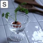 花瓶 リボベジ ガラス カップ Sサイズ （ リボーンベジタブル ガラスカップ 器 家庭菜園 再生野菜 ベース S ）
