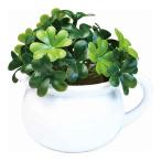  искусственная зелень clover pot ( человеческий труд декоративное растение интерьер зеленый декоративное растение модный искусственный цветок настоящий compact фотокаталитический салон дезодорация антибактериальный )