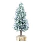 クリスマスツリー ナチュラルツリー 30cm （ ツリー 卓上ミニサイズ ミニ シンプル おしゃれ クリスマス 小型 テーブル リアル 雪 北欧 ）
