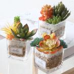  искусственная зелень e прозрачный дезодорация a-tifi автомобиль ru зеленый S размер ( декоративное растение поддельный человеческий труд декоративное растение суккулентное растение CT катализатор дезодорация . грязный антибактериальный искусственный цветок фэн-шуй )