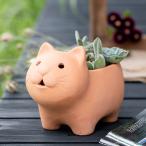  посадочная машина животное терракота pot кошка 3 номер ( цветочный горшок план to pot растения для pot Mini pot горшок pot неглазурованный фарфор .)