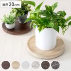  посадочная машина подставка Treno диаметр 30cm с роликами .( цветок подставка посадочная машина шт. стенд для вазы горшок класть горшок получить plate литейщик круглый )