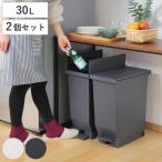 ゴミ箱 30L 同色2個セット エバン 両開きペダルペール （ ごみ箱 30リットル ダストボックス 両開き 棚下 スリム キッチン 分別 ふた付き おしゃれ ）