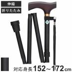 杖 折りたたみ ベーシック ブラック