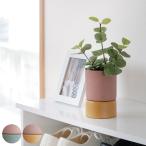  ваза Valente Picco Small ( металлический цветок бутылка ваза для цветов pot цветок основа основа круг железный ветка предмет цветок )