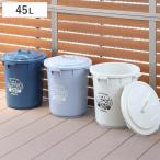 ゴミ箱 45L カラーペール アースカラー ( ごみ箱 45リットル 大容量 ふた付き 屋外 丸型 ペール 分別 収納 )
