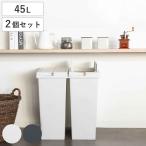 ゴミ箱 45L 同色2個セット ユニード 