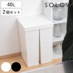 ショッピングダストbox ゴミ箱 40L SOLOW 袋の交換が楽なダストボックススリム 同色2個セット （ ソロウ ごみ箱 40リットル ふた付き スリム 袋交換 簡単 分別 同色 2個セット ）