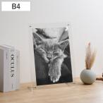 フォトフレーム シンプル アクリル B4 （ アクリルフレーム フォトスタンド 写真立て 写真たて 壁掛け 置き型 スタンド フレームなし クリア 透明 ）