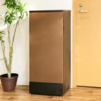 ショッピング宅配ボックス 宅配ボックス リシムダブル 二重扉 リシム ブラウン 防水 一戸建て用 大容量 （ 宅配 ボックス ポスト一体型 ポスト 宅配ポスト 宅配ボックス付きポスト 2段 ）