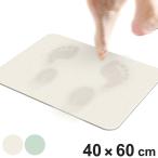 珪藻土バスマット パステルカラーの珪藻土バスマット 40×60cm Lサイズ ( 珪藻土 バスマット 吸水 速乾 足元マット マット バスグッズ )
