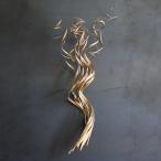 ドライフラワー CASTO COCO CURL ( 枝 枝物 インテリア 花材 ナチュラル おしゃれ オブジェ ディスプレイ )