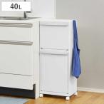 ゴミ箱 40L ホワイトラッシュ 多段 分別 ( ごみ箱 40リットル 2段 縦型 フラップ ふた付き スリム 省スペース キッチン )