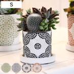  цветочный горшок свободный ze pot S поддонник имеется ( цветок pot план to pot посадочная машина pot горшок растение в горшке керамика )