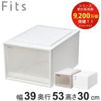 収納ケース Fits フィッツ フィッツケース クローゼット L-53 ( 衣装ケース 収納 幅39 奥行53 高さ30 天馬 日本製 )