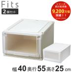 収納ケース 同色2個セット 幅40×奥行55×高さ25cm Fits フィッツアドバンス ケース 4025 クローゼット ( 収納 収納ボックス 日本製 )