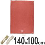 レジャーシート　ANCIENT　OUTDOOR GOODS　140×100cm　L　ペグ穴付き （ レジャーマット ピクニックシート ピクニック マット ）