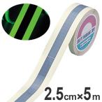 高輝度蓄光テープ　反射ライン付　防災用　2.5cmｘ10ｍ巻　離けい紙付 （ 夜光テープ 誘導標示 防災用品 ）