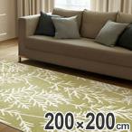 ■在庫限り・入荷なし■ラグ　カーペット　スミノエ　エダラグ　200×200cm （ ラグマット 床暖房対応 防ダニ ）