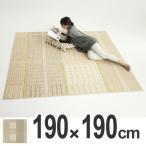 ■在庫限り・入荷なし■ラグ　スミノエ　ウォームグレン　190×190cm　（ ラグマット ホットカーペット対応 ）