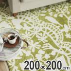 ■在庫限り・入荷なし■ラグ　カーペット　スミノエ　ニワラグ　200×200cm （ ラグマット 床暖房対応 防ダニ ）