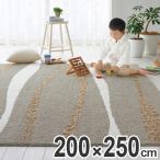 ■在庫限り・入荷なし■ ラグ　カーペット　スミノエ　ピュアフロー　200×250cm （ ラグマット センターラグ ）