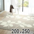 ■在庫限り・入荷なし■ ラグ　カーペット　スミノエ　ピアンタ　200×250cm （ ラグマット センターラグ ）